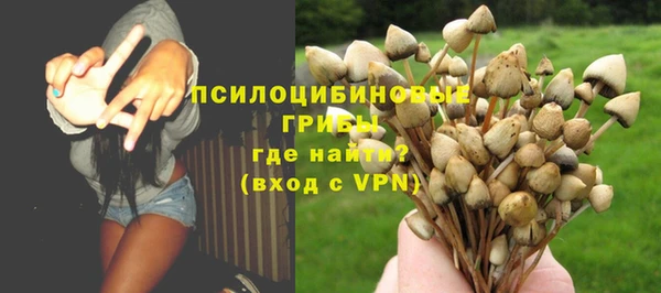 амфетамин Каменногорск