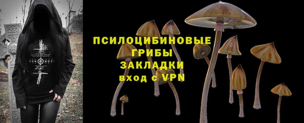 амфетамин Каменногорск