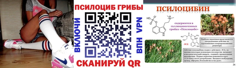 где купить наркотик  Жуковский  mega ссылка  Галлюциногенные грибы Psilocybe 